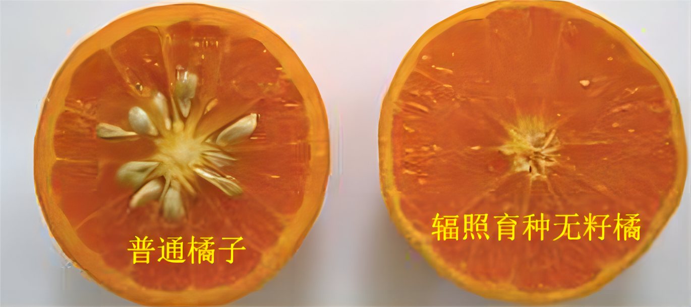 20200722031014130.png